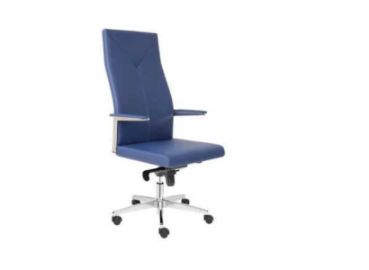 Office Armchair Gaming Chair Office Chair Desk Swivel Chair Boss Armchair Single Seater
